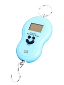 Весы Безмен IRIT IR-7450 50 кг