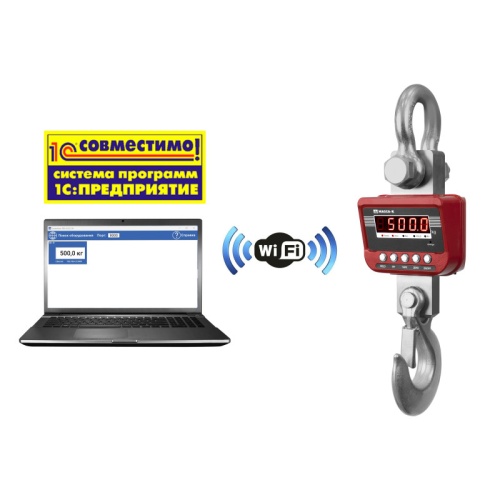 Весы крановые ЕКМ-6000.3/2-W (высокоточные c Wi-Fi)